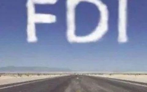 什么是FDI？