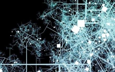 IBM：向企业级人工智能转变，填补数据与技能差距，实现卓越价值