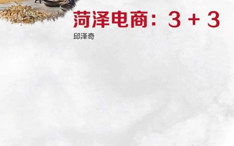 阿里研究院：农村电商，为什么是菏泽？