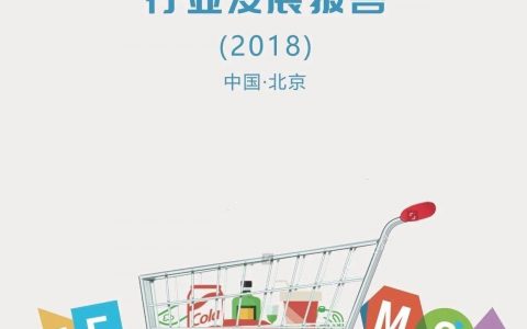 2018中国快消品B2B行业发展报告