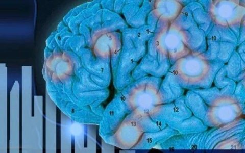 IBM：了解客户和风险，保险行业的认知未来