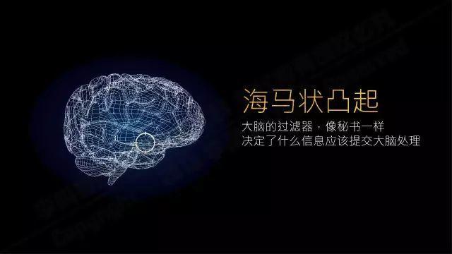 李叫兽194页内部培训资料：什么样的文案能激发大脑海马状凸起？