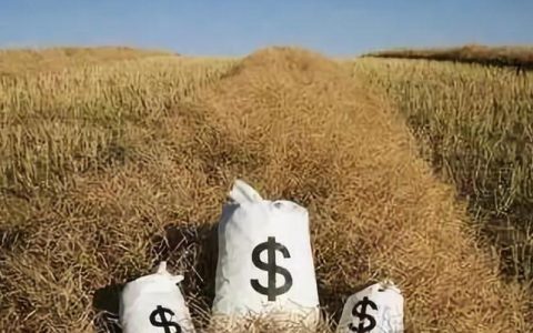 普益标准：农村金融机构理财产品深度解析研报