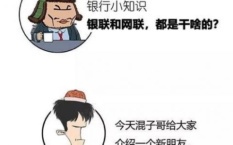 漫画 | 银联与网联，都是干啥哩？