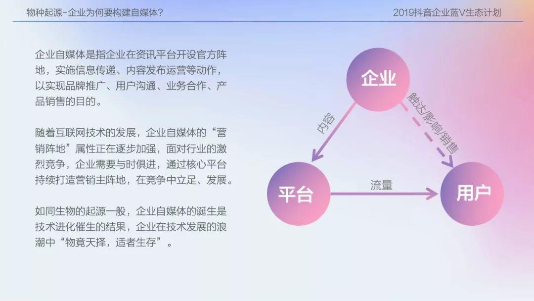 2019抖音企业蓝V生态计划：蓝V进化论