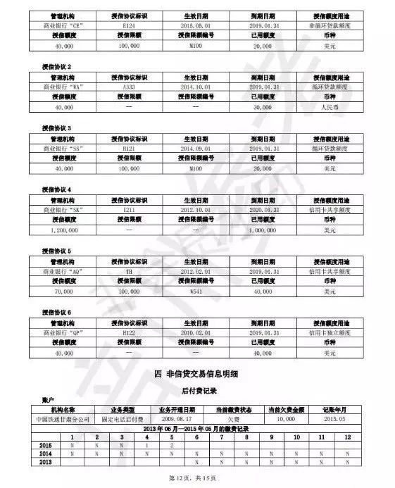 15页的新版个人征信报告完整版曝光