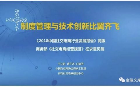 2018中国社交电商行业发展报告
