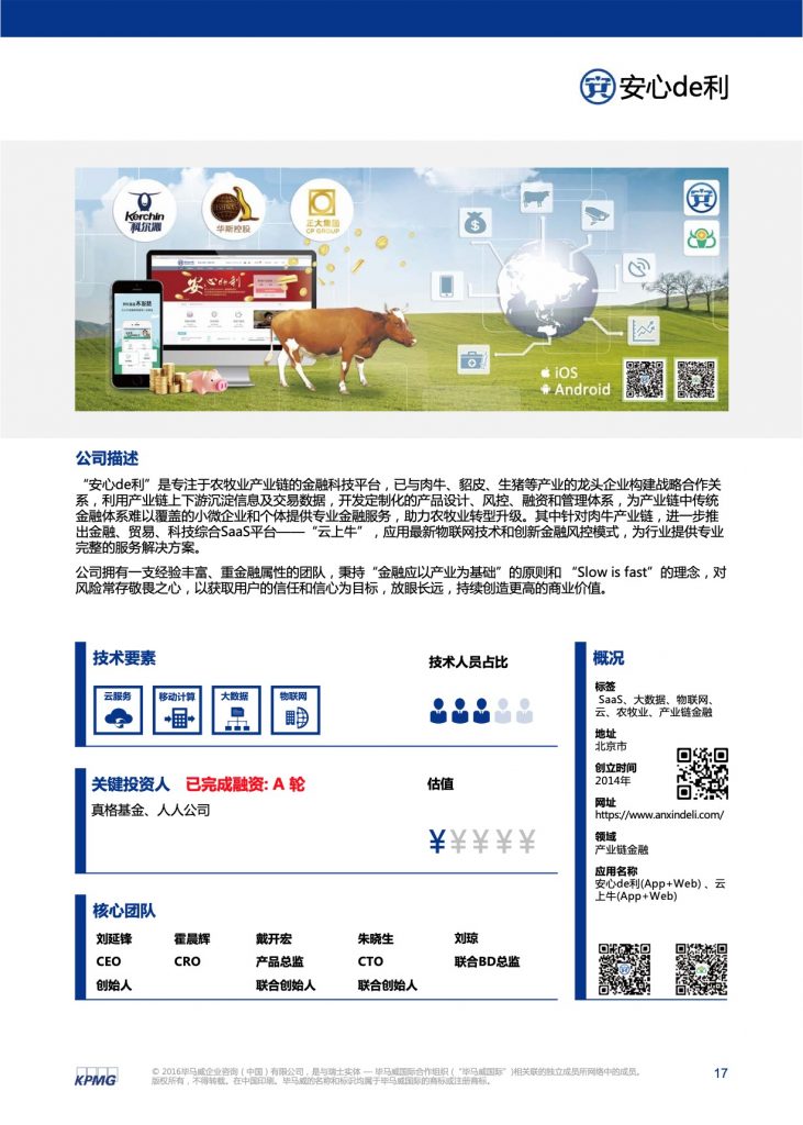 毕马威：2016中国领先金融科技公司50