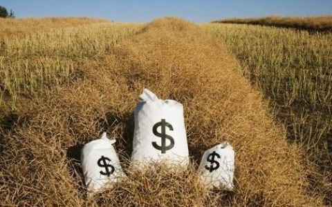 农村金融极简史