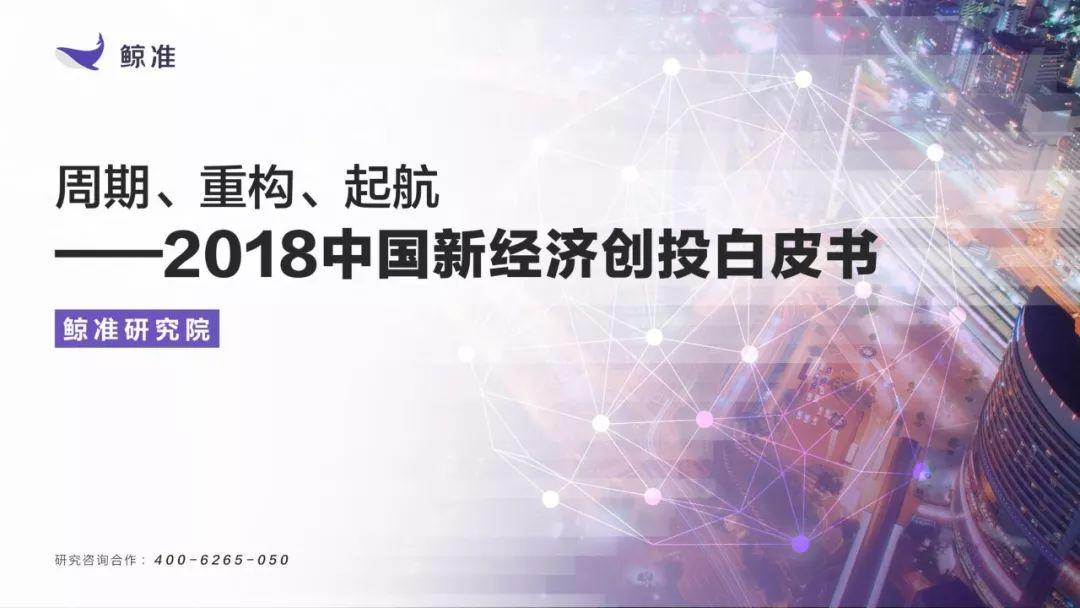 鲸准研究院：2018中国新经济创股白皮书（213页）