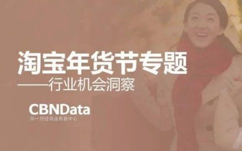 CBNData：淘宝年货节专题行业机会洞察