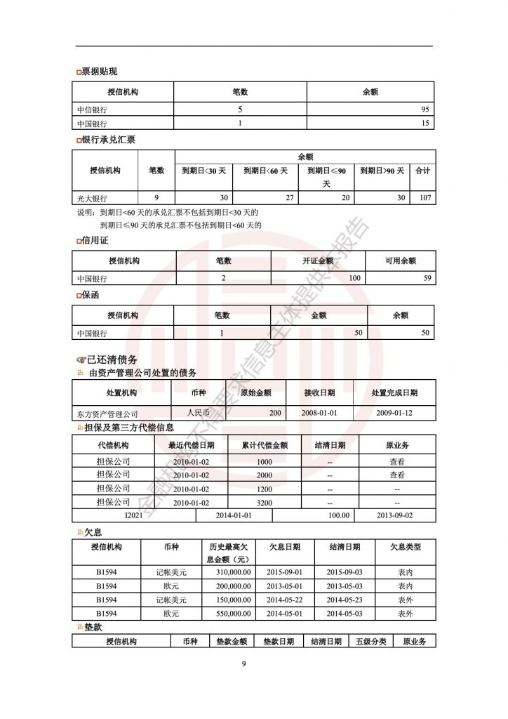 企业信用报告模板(自主查询版)