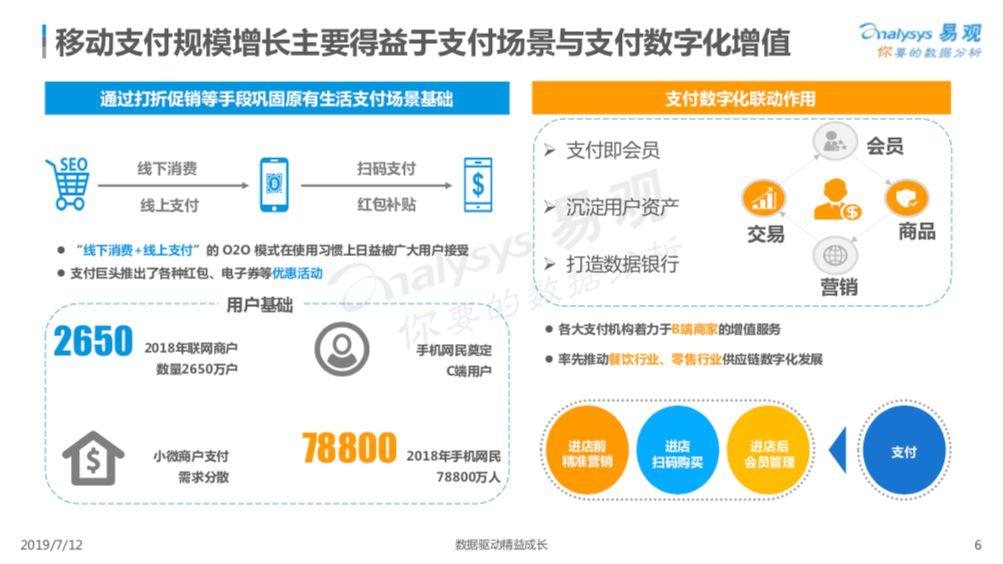 2019中国第三方支付行业年度专题分析