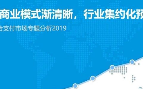 易观：2019中国聚合支付市场专题分析