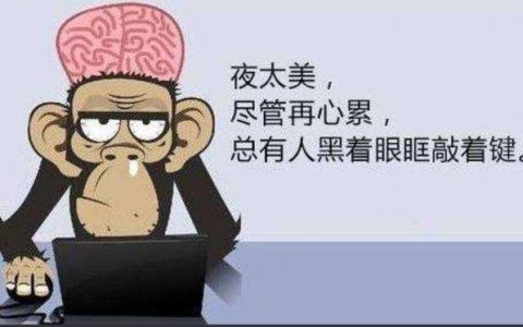 1024程序员日正常加班，程序员太难了！！！