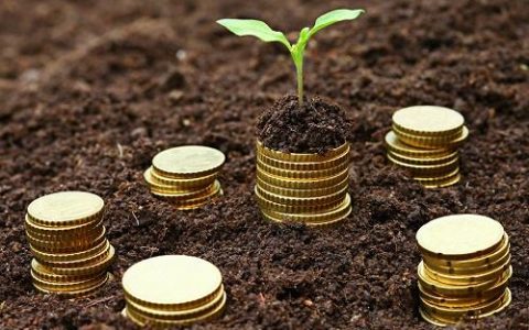 群雄逐鹿普惠金融