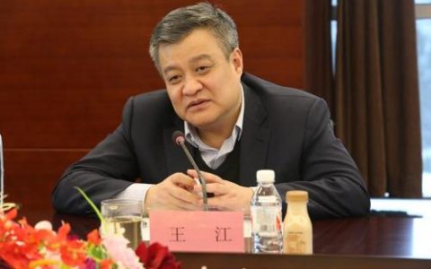 中国银行行长王江2019年度报告致辞