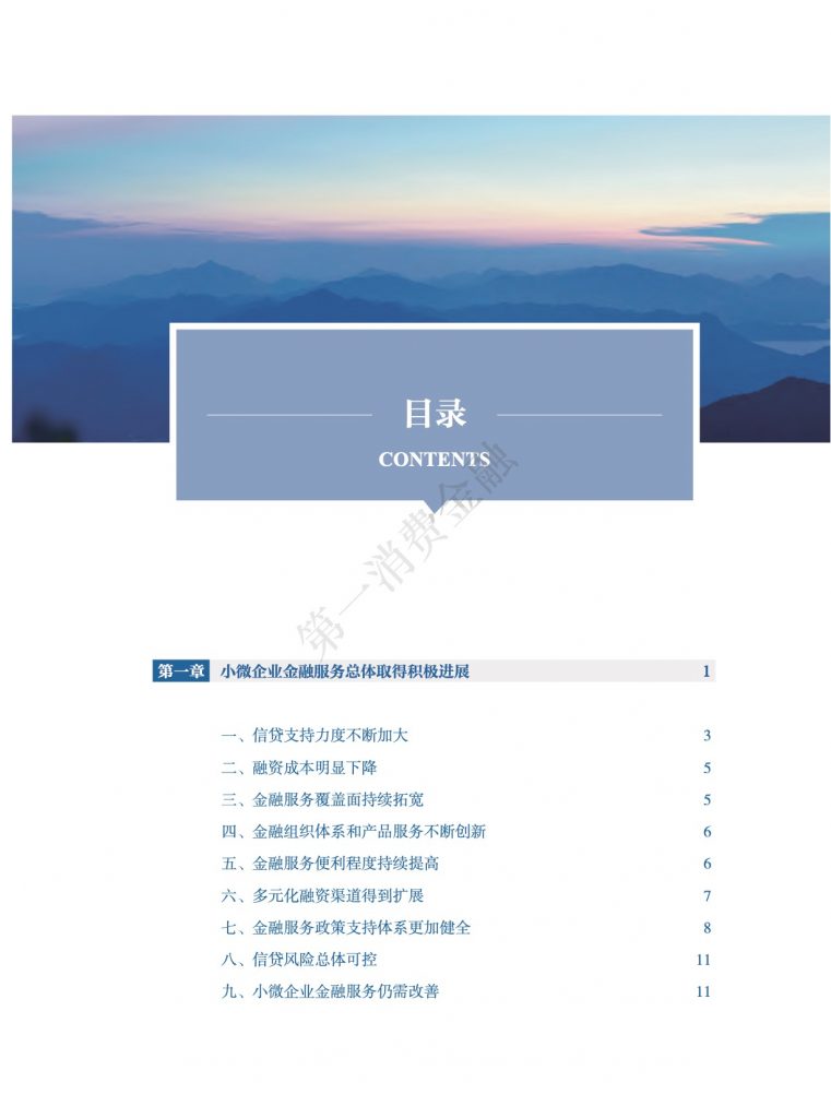 中国人民银行：2018中国小微企业金融服务报告（167页）