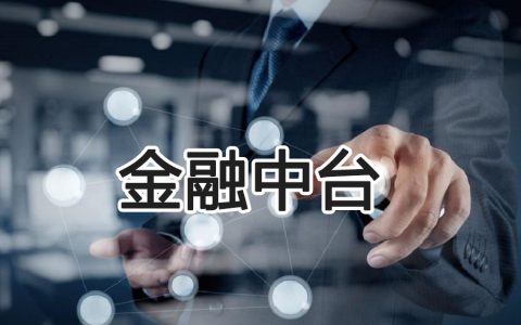 金融中台十宗罪