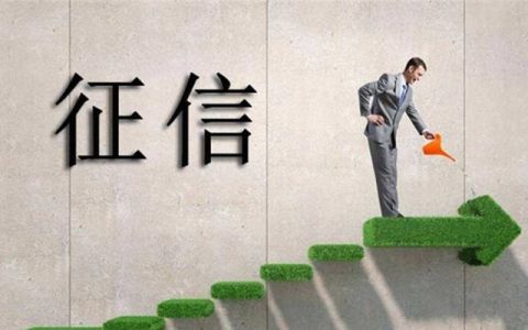 征信视角下的替代数据应用研究