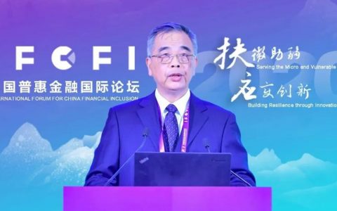 李东荣：普惠金融核心是提升数字化能力