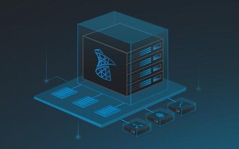 《数据库服务能力成熟度模型》解读