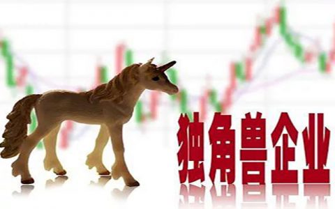 2021中国独角兽企业研究报告