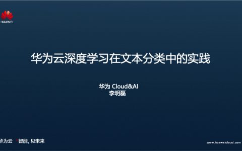 华为云深度学习在文本分类中的实践