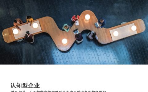 IBM：认知型企业——人工智能之旅和以平台为中心的业务架构之崛起（16页）