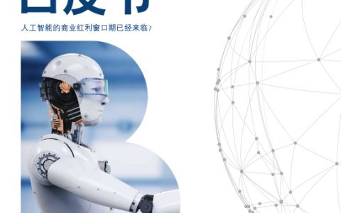罗兰贝格：中国人工智能创新应用白皮书