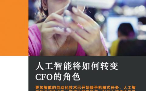 普华永道：人工智能将如何转变CFO的角色(14页)
