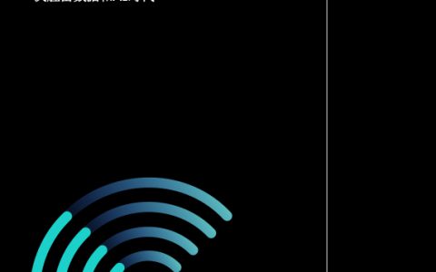 IBM 商业价值研究院：决胜富数据和AI时代(50页)