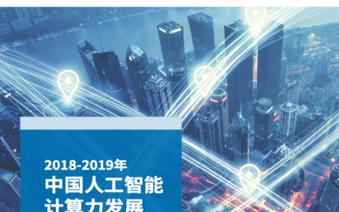 2018-2019年中国人工智能计算力发展评估报告