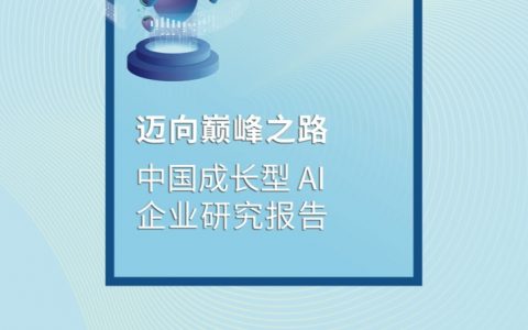 德勤：中国成长型AI企业研究报告——迈向巅峰之路（79页）