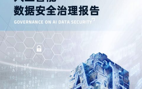 赛博研究院：人工智能数据安全治理报告(48页)
