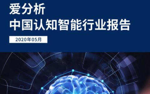 爱分析：中国认知智能行业报告(51页)