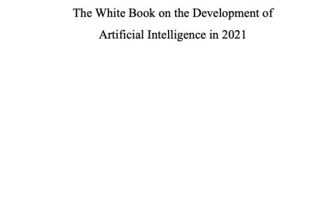 深圳市人工智能行业协会2021人工智能发展白皮书（111页）