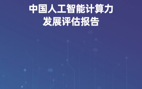 IDC：2022-2023中国人工智能计算力发展评估报告（31页）