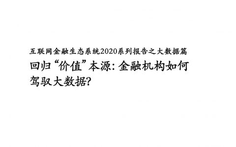 BCG：互联网金融生态系统2020系列报告之大数据篇（28页）