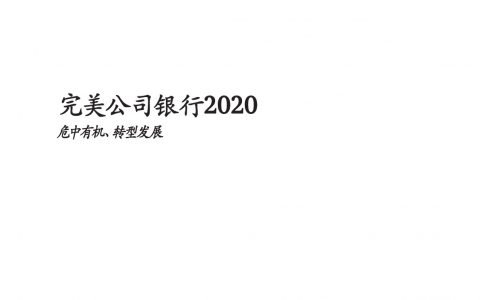 BCG：完美公司银行2020——危中有机、转型发展（36页）