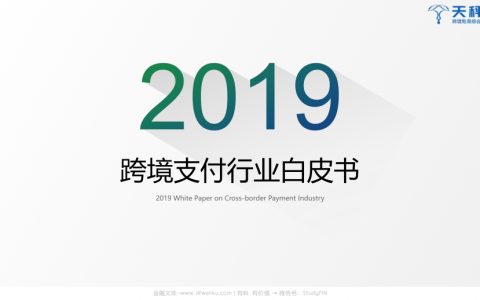 天秤星：2019跨境支付行业白皮书(35页)