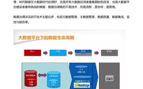 大数据平台下的数据治理