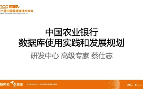 中国农业银行数据库使用实践和发展规划