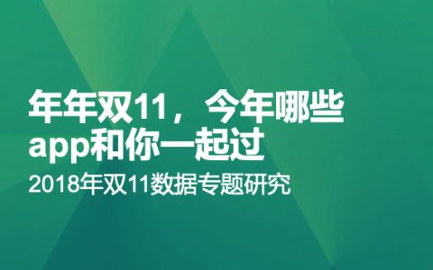 极光大数据：2018年双11专题研究报告