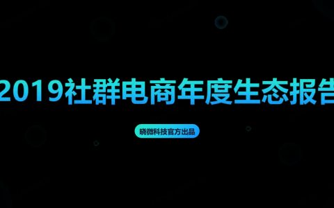 晓微科技：2019社群电商年度生态报告（90页）