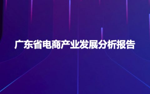 广东省电商产业发展分析报告