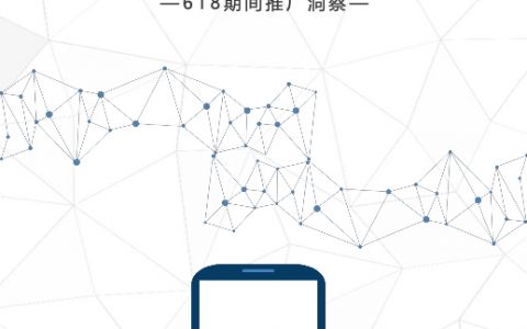 AppGrowing：2019电商行业618期间推广洞察(29页)