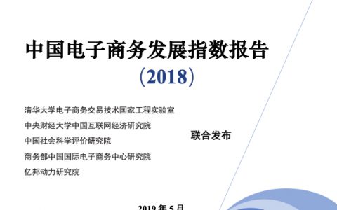 2018中国电子商务发展指数报告（40页）