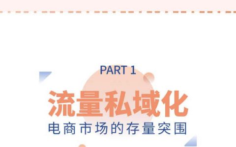 吴晓波频道2019私域电商报告终版（8页）