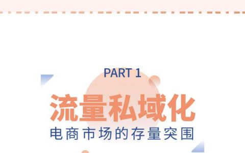 吴晓波频道2019私域电商报告终版（8页）